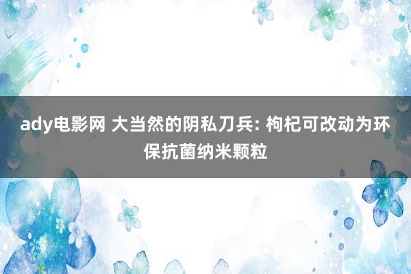 ady电影网 大当然的阴私刀兵: 枸杞可改动为环保抗菌纳米颗粒