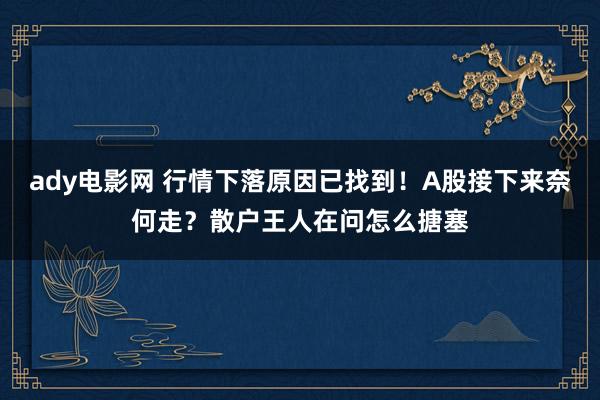 ady电影网 行情下落原因已找到！A股接下来奈何走？散户王人在问怎么搪塞