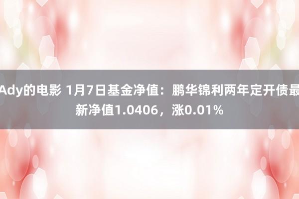 Ady的电影 1月7日基金净值：鹏华锦利两年定开债最新净值1.0406，涨0.01%