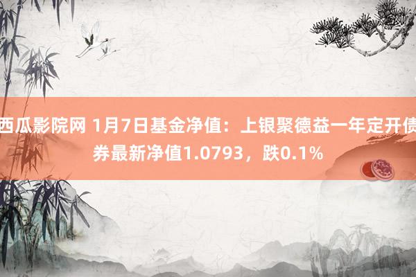 西瓜影院网 1月7日基金净值：上银聚德益一年定开债券最新净值1.0793，跌0.1%