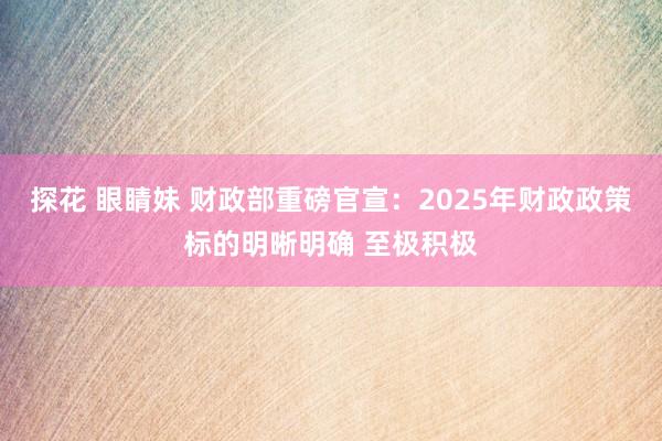 探花 眼睛妹 财政部重磅官宣：2025年财政政策标的明晰明确 至极积极