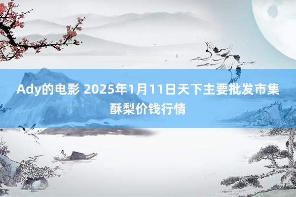 Ady的电影 2025年1月11日天下主要批发市集酥梨价钱行情