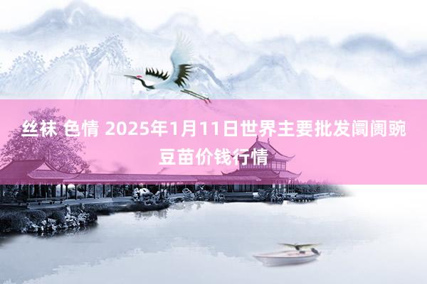 丝袜 色情 2025年1月11日世界主要批发阛阓豌豆苗价钱行情