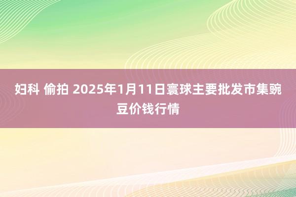 妇科 偷拍 2025年1月11日寰球主要批发市集豌豆价钱行情