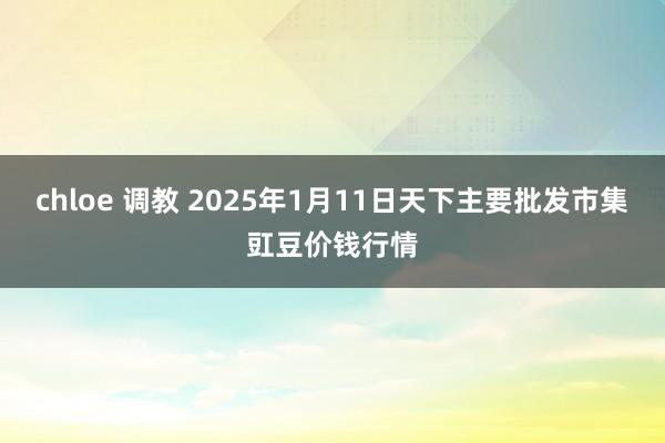 chloe 调教 2025年1月11日天下主要批发市集豇豆价钱行情