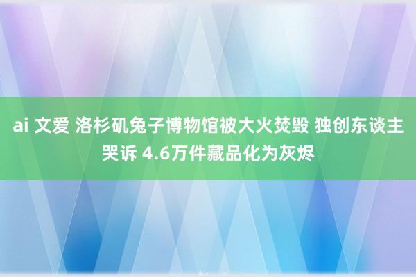 ai 文爱 洛杉矶兔子博物馆被大火焚毁 独创东谈主哭诉 4.6万件藏品化为灰烬