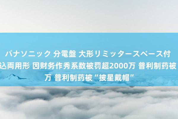 パナソニック 分電盤 大形リミッタースペース付 露出・半埋込両用形 因财务作秀系数被罚超2000万 普利制药被“披星戴帽”