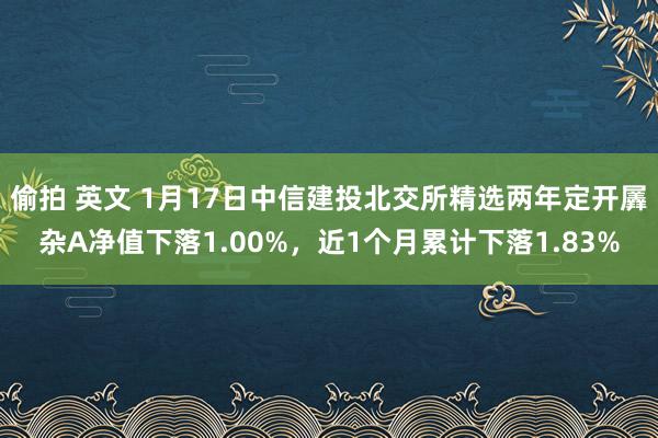 偷拍 英文 1月17日中信建投北交所精选两年定开羼杂A净值下落1.00%，近1个月累计下落1.83%